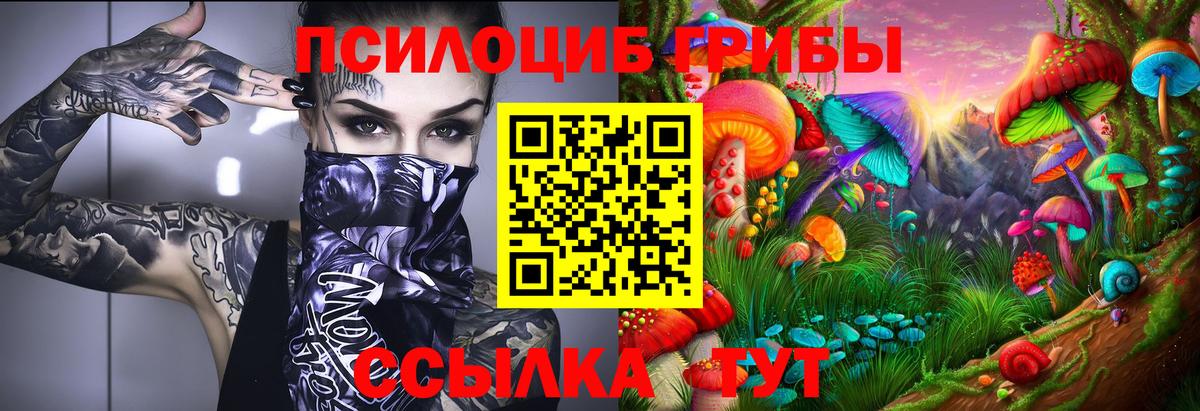 что такое наркотик  Вход с VPN  Верхняя Пышма  Псилоцибиновые грибы MAGIC MUSHROOMS 